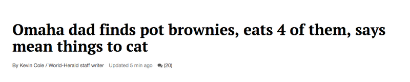 Illustration for article titled We Can't Improve This Headline About a Dad Who Ate Pot Brownies and Was Rude to a Cat
